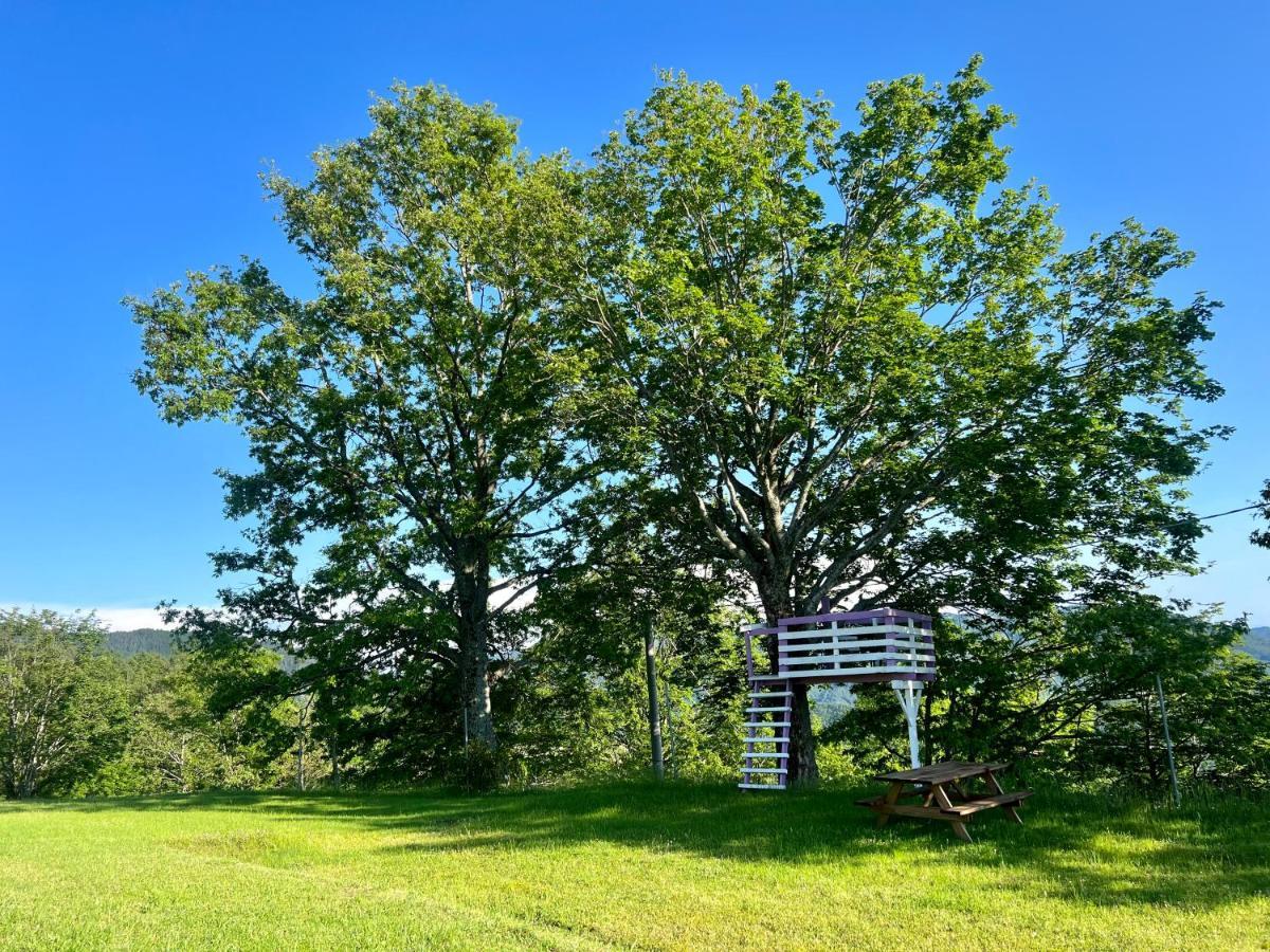 Agriturismo Il Serrino San Marcello Pistoiese Exteriör bild