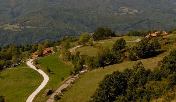 Agriturismo Il Serrino San Marcello Pistoiese Exteriör bild